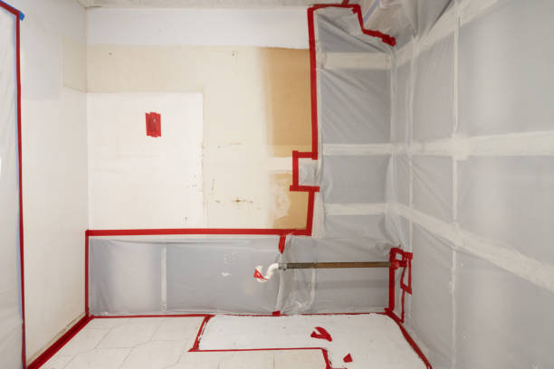 Best Forensic Mold Investigation  in Fkville, AL