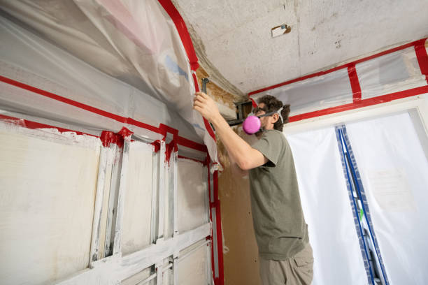 Best Environmental Consulting for Mold Prevention  in Fkville, AL